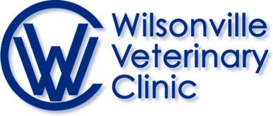 wvclogo